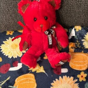 Hershey's Red Teddy Bear